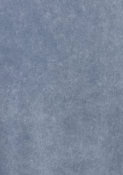 Buffalo Top Met Spaghettibandjes Met Modieuze Rand Met Kwastjes -Beroemde Badkleding Winkel buffalo top met spaghettibandjes met modieuze rand met kwastjes blauw 3