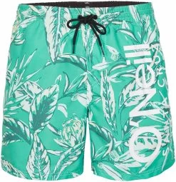Chiemsee Zwemshort In Sportieve Look -Beroemde Badkleding Winkel oneill zwemshort cali floral 16 swim shorts 2