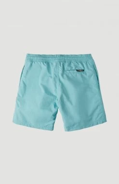 O'Neill Zwemshort "Vert" -Beroemde Badkleding Winkel oneill zwemshort vert blauw 10