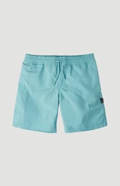 Bench. Zwemshort Met Trendy Logo-opschrift -Beroemde Badkleding Winkel oneill zwemshort vert blauw