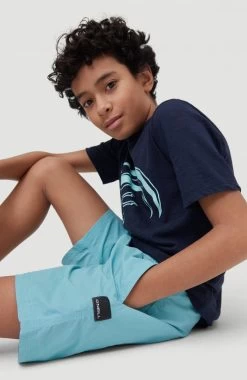 O'Neill Zwemshort "Vert" -Beroemde Badkleding Winkel oneill zwemshort vert blauw 3