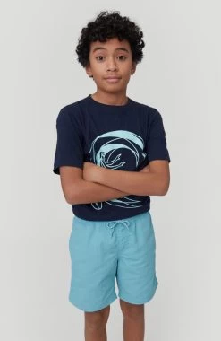 O'Neill Zwemshort "Vert" -Beroemde Badkleding Winkel oneill zwemshort vert blauw 7