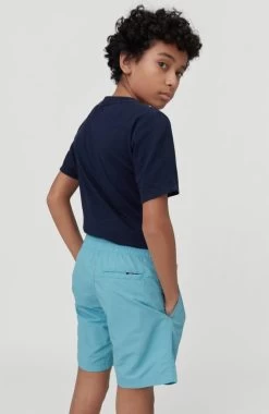 O'Neill Zwemshort "Vert" -Beroemde Badkleding Winkel oneill zwemshort vert blauw 8