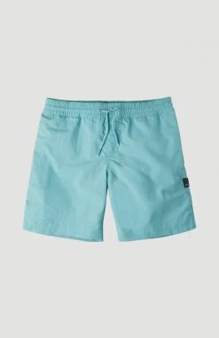 O'Neill Zwemshort "Vert" -Beroemde Badkleding Winkel oneill zwemshort vert blauw 9