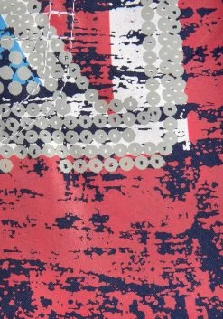 Venice Beach Zwemshort Met Vlaggen-print 17 Venice Beach Zwemshort Met Vlaggen-print -Beroemde Badkleding Winkel venice beach zwemshort met vlaggen print blauw 10