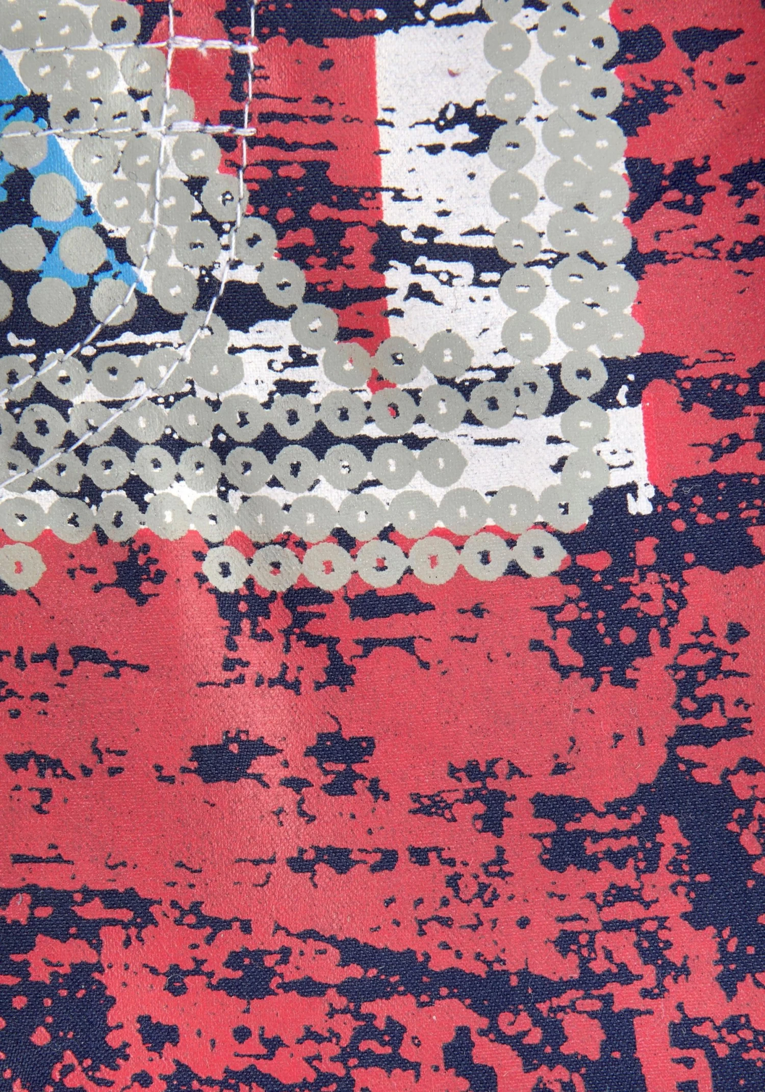 Venice Beach Zwemshort Met Vlaggen-print 3 Venice Beach Zwemshort Met Vlaggen-print - Image 3